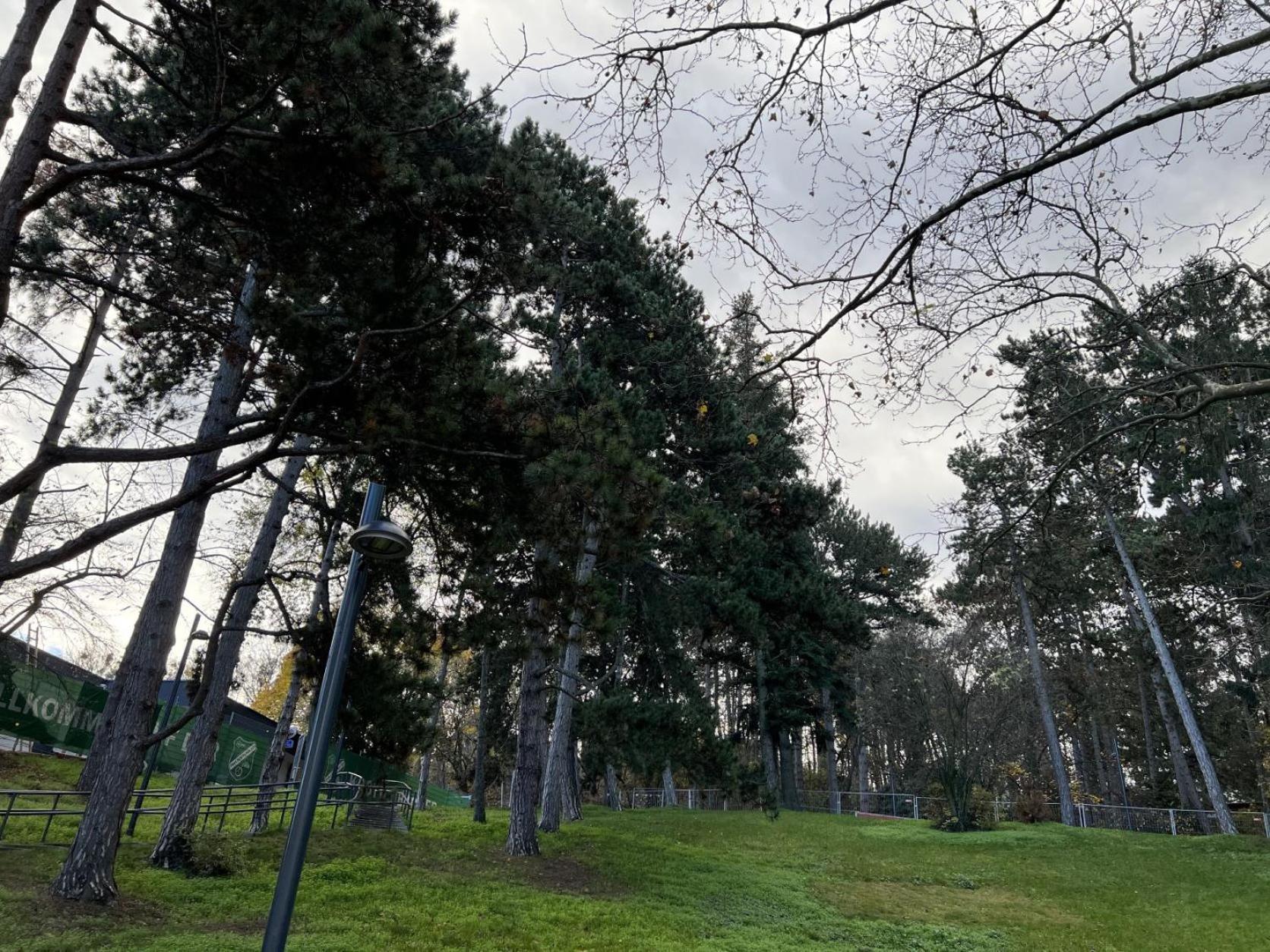 Loge Sollinger1190 Apartman Bécs Kültér fotó